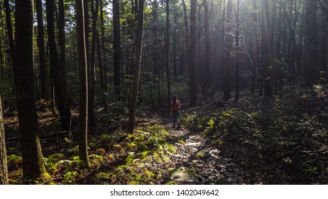 Walking The Appalachian Trail In Pennsylvania