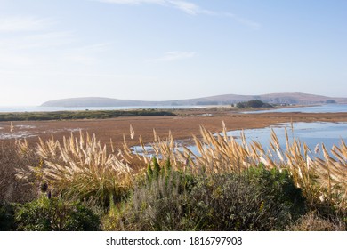 Walking Around Bodega Bay California