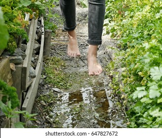 Walking Barefoot On A Path In The Vegetable Garden.