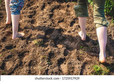 Walking Barefoot Through Muddy Road In Nature. Barefoot Trail. Shoeless Womens Legs. Grounding, Or Earthing, Making Contact With The Earth. Bare Feet