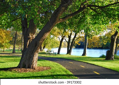 Walking Bike Path In The Park