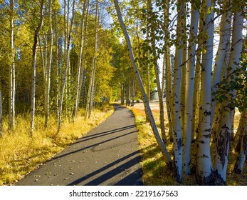 A Walking And Bike Path Winding Through Colorful Aspen Trees On A Ranch Near Sisters Oregon