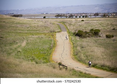 Walking and biking trail winds through a wetland in spring as a biker rides along