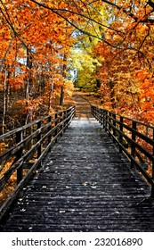 Walking bridge during fall - Shutterstock ID 232016890