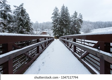 A Walking Bridge At The Lackawanna State Park