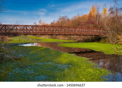 A Walking Bridge In The Mercer Slough In Bellevue Washington