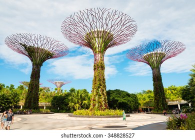 Walking Bridge On Super Trees In Gardens By The Bay Singapore.