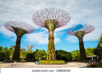 Walking Bridge On Super Trees In Gardens By The Bay Singapore.