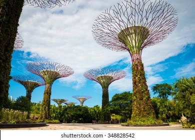 Walking Bridge On Super Trees In Gardens By The Bay Singapore.