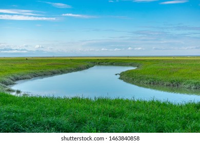 13 Campbell creek estuary anchorage Images, Stock Photos & Vectors ...