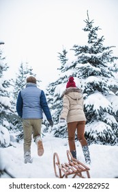 Walking couple with a sled