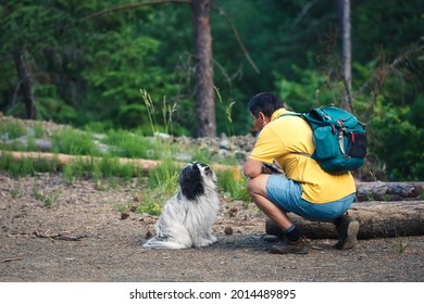 Walking With A Dog In A Coniferous Forest. Side View Of Man And Beautiful Tibetan Terrier Dog In Forest Looking Into Each Other Eyes. Concept Of Love For Pets. Selective Focus