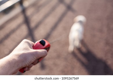 Walking A Dog With A Red Lead