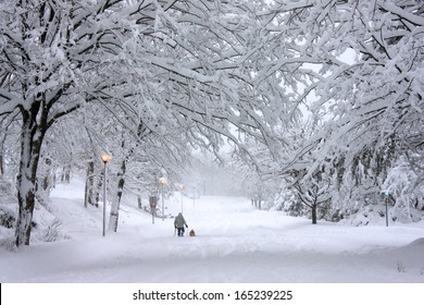 Walking The Dog In A Winter Snow Storm