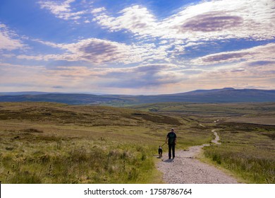 Walking The Dog, Yorkshire Dales National Park