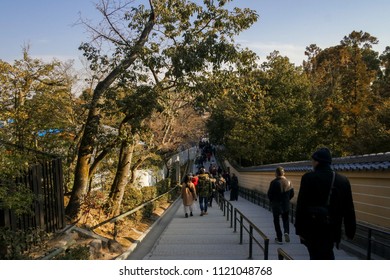 Walking down the hill