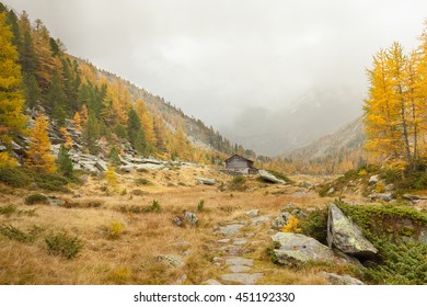 walking at fall in a cloudy day in a mountain valley
