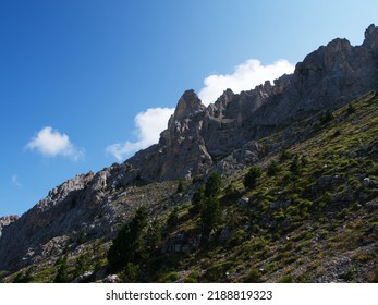 Walking In Fiemme Valley, Trentino Alto Adige, Italy