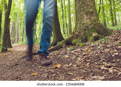 walking in a forest