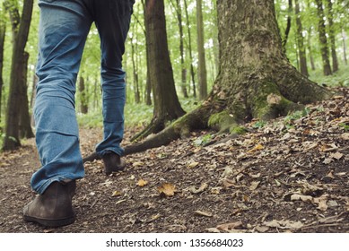 walking in a forest