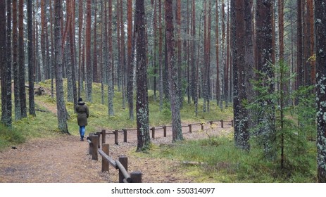 Walking in forest
