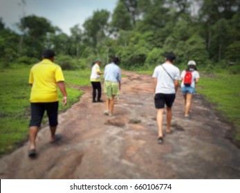 Walking in the forest