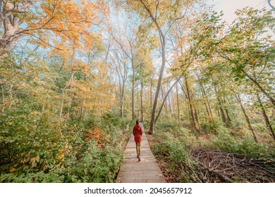 Walking In Forest Nature In Autumn, Canada Travel. Woman From Behind Relaxing In City Park Trail Hike Surrounded By Maple Trees Yellow Foliage.