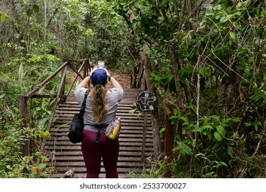 walking in the forest, walking in the park, people walking on a path, hikers, trails in Brazil, brazilian forest, passing on the bridge, wooden bridge, bridge over the river
 - Powered by Shutterstock