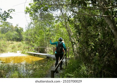 walking in the forest, walking in the park, people walking on a path, hikers, trails in Brazil, brazilian forest, passing on the bridge, wooden bridge, bridge over the river
 - Powered by Shutterstock