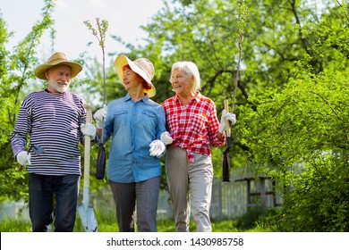 Walking to garden. Two retired women and one man walking to the garden to plant trees together