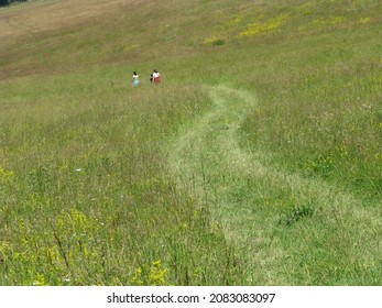 Walking in a grass field