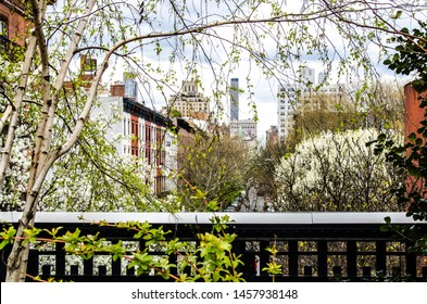 Walking The Highline In Chelsea New York