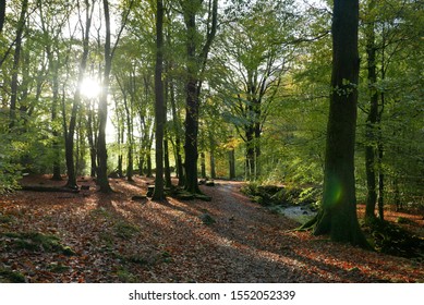 Walking And Hiking Around Windermere, Lake District In Autumn