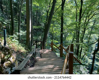 Walking and hiking trails in the forest park Jankovac or Count's educational trail in Jankovac - Papuk nature park, Croatia (Grofova poučna staza na Jankovcu - Park prirode Papuk, Hrvatska) - Shutterstock ID 2114764442