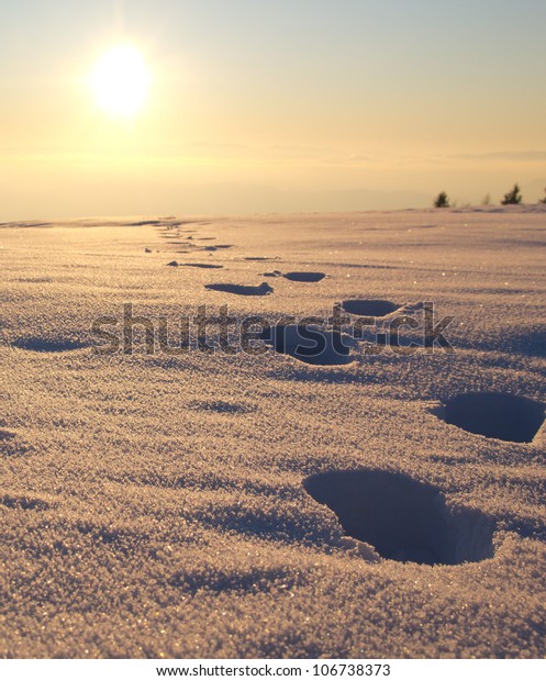 Walking Into Sun Stock Photo 106738373 | Shutterstock