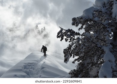 walking into the unknown Yellowstone 