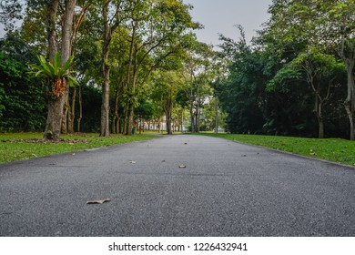 walking, jogging and biking path