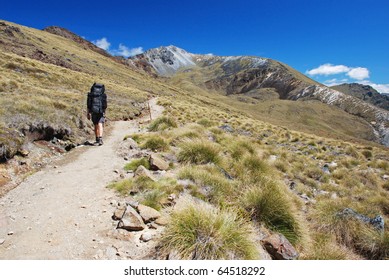 Walking Kepler Track, New Zealand