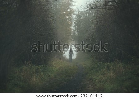 Walking lonely person on a forrest path in a dark and cold foggy day