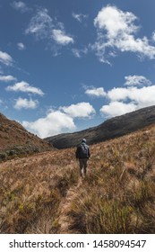 Walking in the mountain and the fields