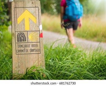 Walking On Camino De Santiago 