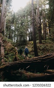Walking on a fallen tree somewhere near the California coast