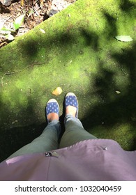 Walking on mossy path