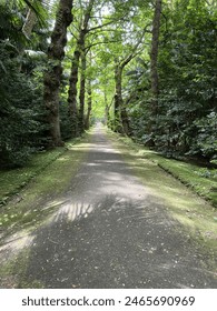 Walking on the nature path