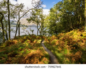 Walking On The West Highland Way Near Loch Lomond, Scotland