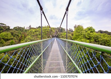 Walking Over The Trees Through A Tree Top Walk In Singapore