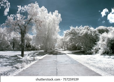 Walking In The Park With Near Infrared Photography