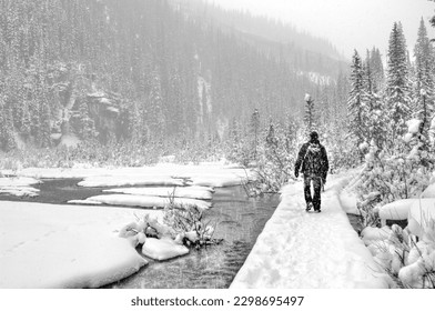 Walking a path alone in the wilderness