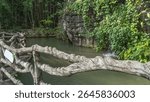 Walking path along the pond. A handrail woven from branches in the foreground. Green vegetation on steep cliffs. Bamboo thickets in the distance. China.Heavenly Star Bridge Park.Tianxing Qiao. 