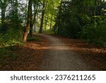 Walking path with autumn atmosphere in the park outdooors